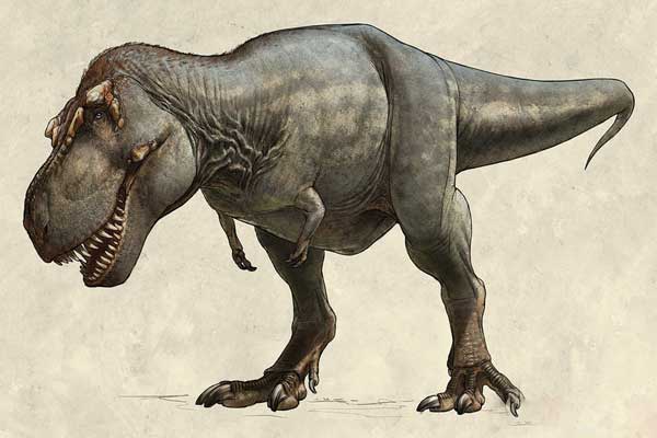 بقایای بزرگترین دایناسور گوشتخوار دنیا کشف شد
