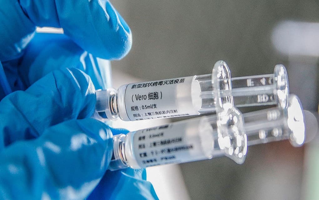 ادعای محققان چینی: واکسن کرونا روی میمون جواب داد