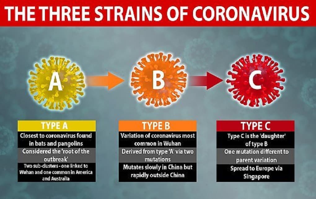 شناسایی سه گونه مرگبار ویروس کرونا | ویروس شایع در اروپا از کجا پخش شده است؟