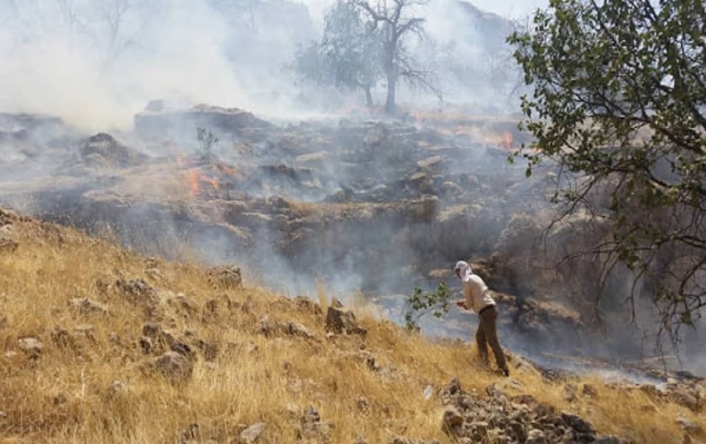 پایان آتش‌سوزی جنگل‌های گچساران پس از ۸۰ ساعت