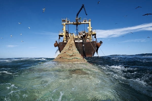 توقیف کشتی صیادی غیرمجاز | کشف ۳۲ تن ماهی با ارزش ۱۵ میلیارد