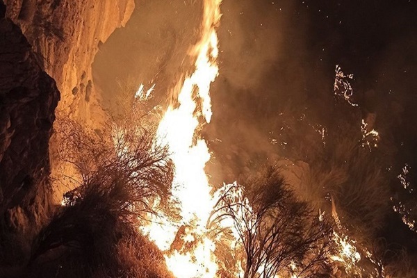 آتش سوزی جنگل‌های منطقه حفاظت شده خائیز در استان‌ کهگیلویه و بویراحمد