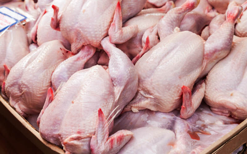علت اصلی کمبود مرغ در بازار امتناع مرغداران از عرضه با قیمت مصوب است