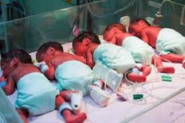یک زن در البرز ۶ قلو به دنیا آورد |  حال مادر ‌و نوزادان مساعد است