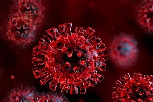 مکان و منبع اصلی شیوع کرونا ویروس کشف شد