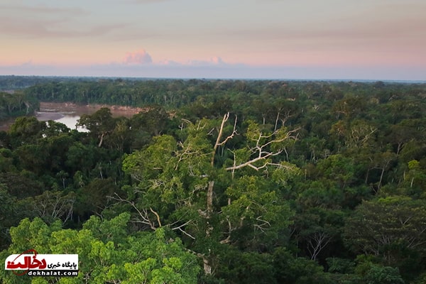 زیباترین جنگل‌های دنیا؛ جنگل آمازون