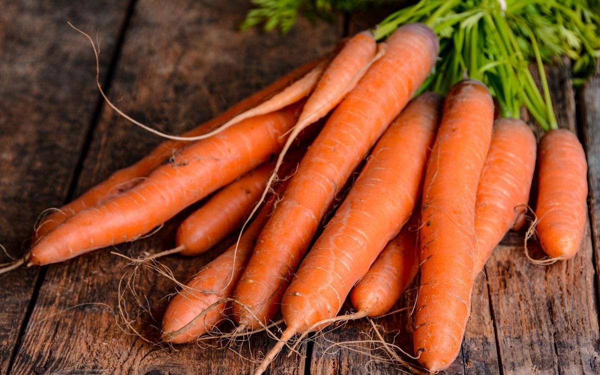 فواید هویج برای سلامتی بدن