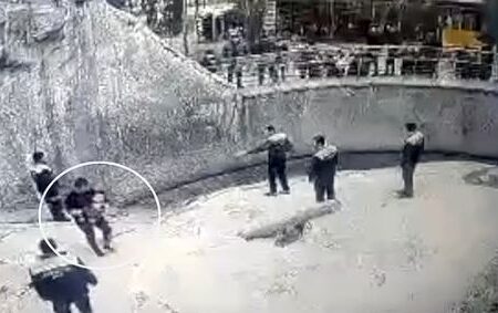 مادر سنگدل دختر ۳ ساله اش را به قفس خرس وحشی پرت کرد