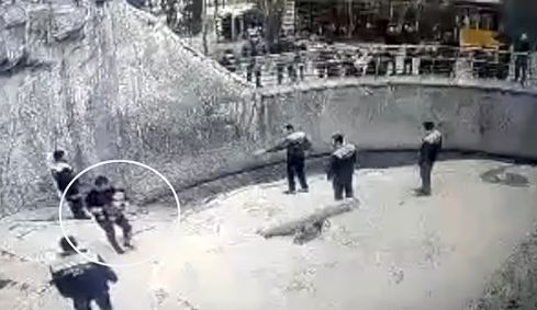 مادر سنگدل دختر ۳ ساله اش را به قفس خرس وحشی پرت کرد