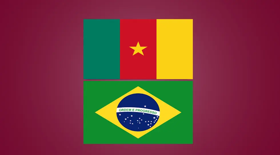 خلاصه بازی کامرون برزیل