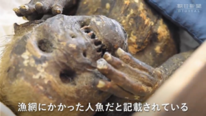 مومیایی «پری دریایی» ترسناک کشف شده در ژاپن عجیب‌تر از آن چیزی است که دانشمندان انتظار داشتند