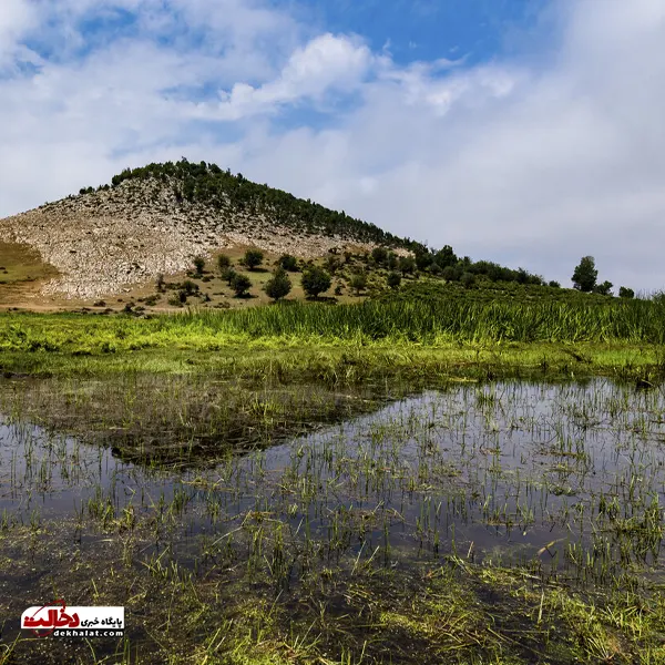 دشت مرکوه؛ جلوه‌ای از طبیعت زیبای استان گلستان