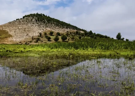 دشت مرکوه؛ جلوه‌ای از طبیعت زیبای استان گلستان