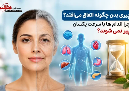 پیری بدن چگونه اتفاق می افتد؟ چرا اندام ها با سرعت یکسان پیر نمی شوند؟